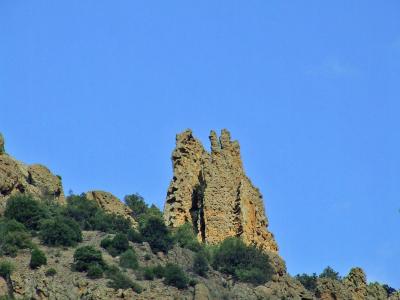 Прикрепленное изображение: CCY23.jpg